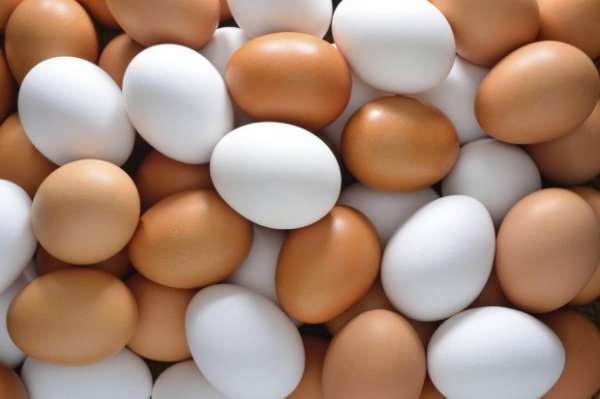 Ученые заявили о смертельной опасности яиц