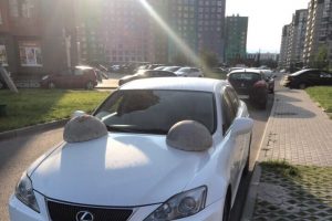 Народный суд в Девяткино: Lexus наказали за неумение парковаться