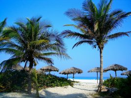 На Мальдивские острова можно будет ездить без виз