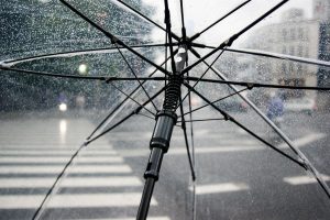 Петербуржцев ждёт дождливый понедельник