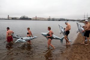 «Создай дельфина и плыви с ним»: «Невские моржи» устроили массовый заплыв