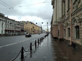 В Петербурге за сутки зафиксировали 44 новых случая заражения COVID-19