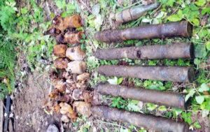 В Павловске нашли два десятка боеприпасов времён войны