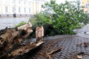 Кажется, всё собирается: Петербург и Ленобласть ждёт ухудшение погоды