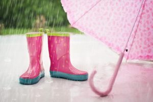 Жителей Ленобласти предупредили о дожде