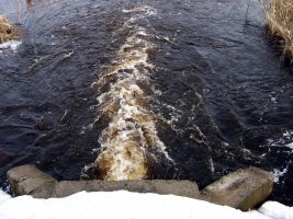 Экологи ищут источник появления пены в Дудергофском канале