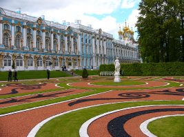 Ставка на виолу: первые цветы высадят в Екатерининском и Александровском парках в конце апреля